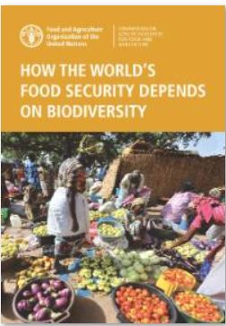 How the world's food security depends on biodiversity